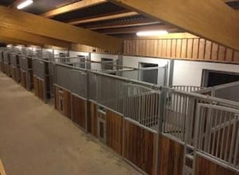 Paddockbox auf gepflegter Reitanlage