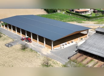 Paddockbox, Trainingsanlage in Hart bei Graz