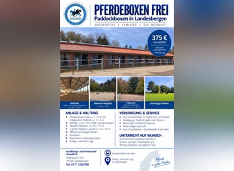 Paddockboxen frei