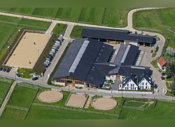 Paddockboxen 