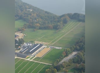 Paddockboxen 