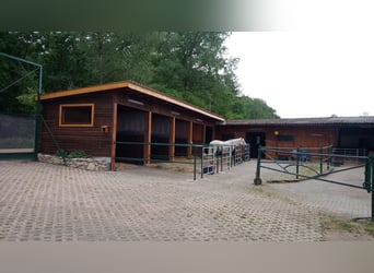 Paddockbox/Innenbox/Weidegang
