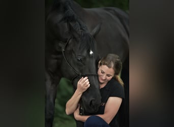 Rehaplatz in ruhiger, persönlicher Betreuung frei