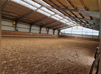 Schöne Pferdeboxen in toller Stallgemeinschaft 