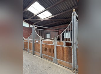 Zwei Paddockboxen frei