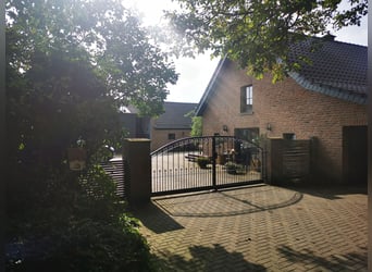 Vergünstigte Außen-/Paddock/Laufstall