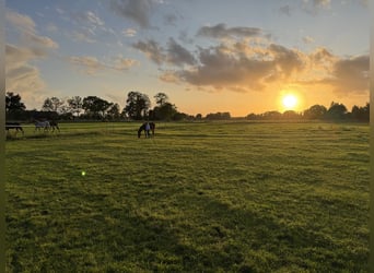 Kurplatz direkt an der Nordsee