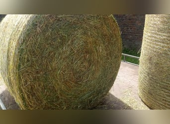 Heu Pferdeheu Heuballen Rundballen aus 2024