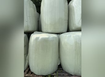 Heulage-Rundballen Ø 105 cm – Ernte 2025