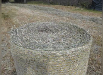 Heurundballen Heu Rundballen Heuballen Pferdeheu Schafe Rinde