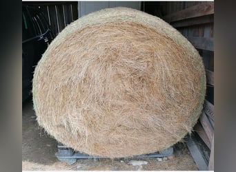 Sehr schönes Almheu in Rundballen, WF Fläche