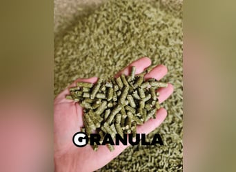Polski producent trawokulek - siano granulowane
