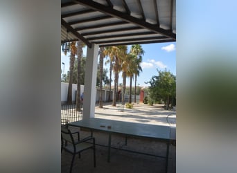 Große Finca in der Nähe Sevilla
