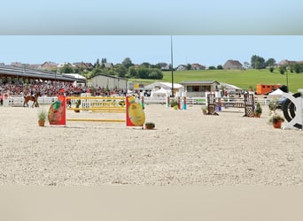 Magnificent & Luxurious Equestrian and Recreation Resort