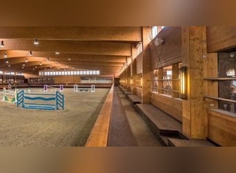 Magnificent & Luxurious Equestrian and Recreation Resort