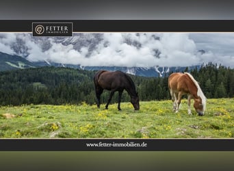 Rarität in begehrter Lage – Reitanlage in Oberschwaben zu verkaufen!
