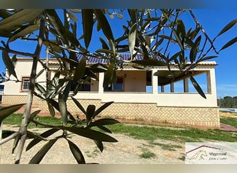 Zwei Fincas mit möglichkeit für Pferdehaltung, Andalusien, Spanien