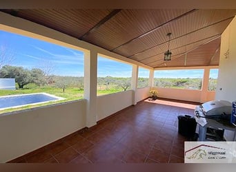 Zwei Fincas mit möglichkeit für Pferdehaltung, Andalusien, Spanien
