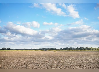 A wonderful location for realising your equestrian dream!