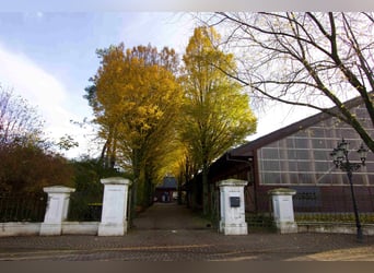 Edle Villa mit angeschlossener Reitanlage