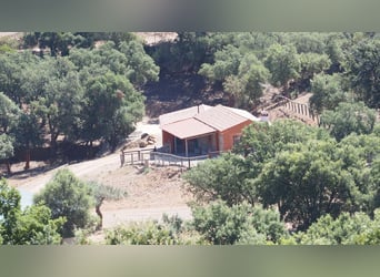 Farm For Recreation And Big Game Hunting.