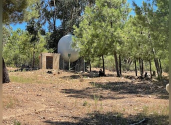 Farm For Recreation And Big Game Hunting.