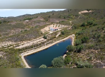 Gestüt in Portugal zu verkaufen – 40 Hektar Land, Privatseen und vieles mehr…
