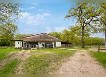 Großzügiger Reiterhof in ruhiger Lage