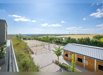 Kleine hochwertige Reitanlage mit exklusiver, energetischer und neuwertiger Luxus-Villa