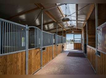 Kleine hochwertige Reitanlage mit exklusiver, energetischer und neuwertiger Luxus-Villa