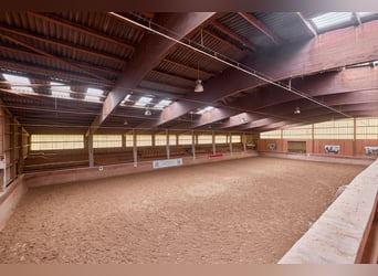 Kompakte Reitanlage im Schwarzwald mit gewerblicher Pferdehaltung!