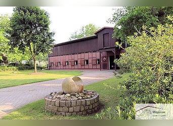 Multifunktionale  Reitanlage bis zu 100 ha. in idyllischer Grünlage Zw. Hamburg & Bremen 