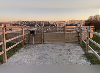 Nähe Vechta !  Geniale Reitanlage in traumhafter Alleinlage mit ca. 7 Hektar   **Provisionsfrei**