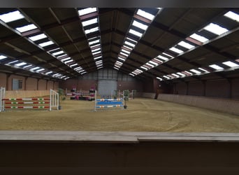 Te huur aangeboden een professionele paarden manege/complex