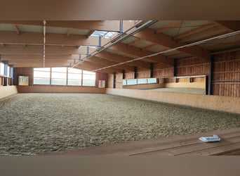 Top gepflegte Reitsportanlage mit Sportstätten-Widmung. 