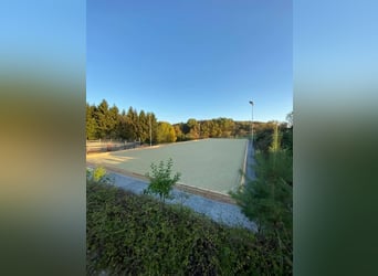 Top gepflegte Reitsportanlage mit Sportstätten-Widmung. 