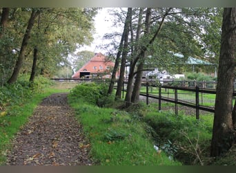 Wohnhaus mit Reitanlage, überdachtem Longierzirkel, Pferdeställen, Offenställe, Reitplatz und Weiden