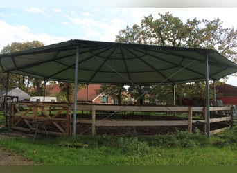 Wohnhaus mit Reitanlage, überdachtem Longierzirkel, Pferdeställen, Offenställe, Reitplatz und Weiden