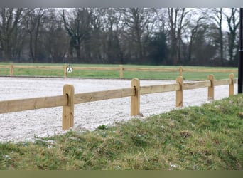 Dressurplatz | Reitplatzzaun Holz | Dressurviereck Holz