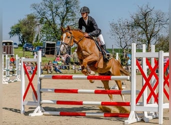 Springparcours