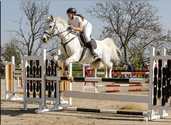 Springparcours
