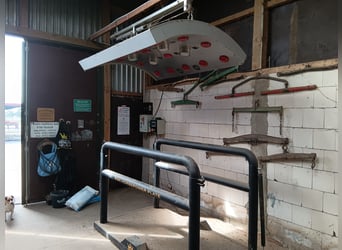 Führmaschiene, Solarium und Vibrationsplatte 