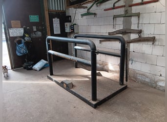 Führmaschiene, Solarium und Vibrationsplatte 