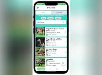 Kostenlose App für Pferdezuchtmanagement