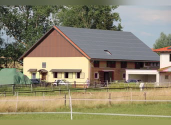 Pächter für kleine Stallanlage gesucht