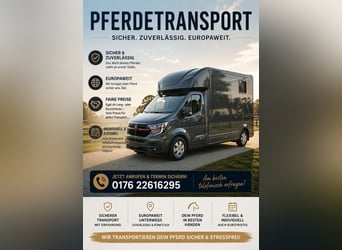 Pferdetransport
