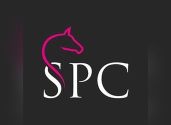 Sporting Performance & Consulting sucht im Kundenauftrag folgende Objekte für solvente Kunden ...