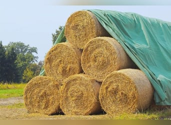 Strohvlies / Heuvlies - 9,8 x 6m - 140g/m²