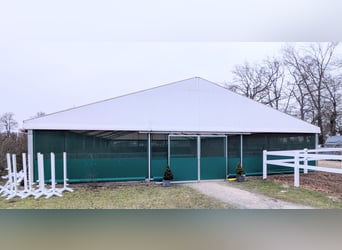 Zelthalle 15x30m als Reitzelt, Lagerhalle oder Veranstaltungszelt zu verkaufen