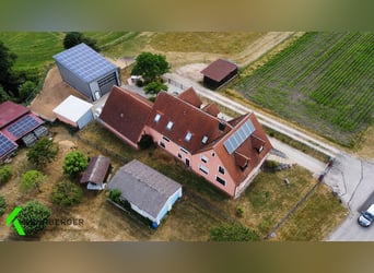 Zweifamilienhaus mit Pferdestall, Paddock und Maschinen - und Werkhalle zum Verkauf